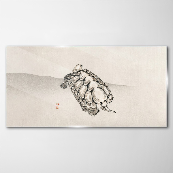 Glasbild Schildkröte auf minimalistischem Hintergrund