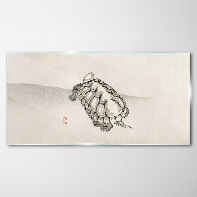 Glasbild Schildkröte auf minimalistischem Hintergrund