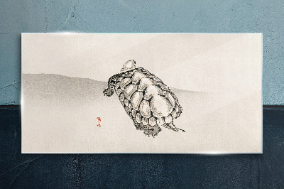 Glasbild Schildkröte auf minimalistischem Hintergrund