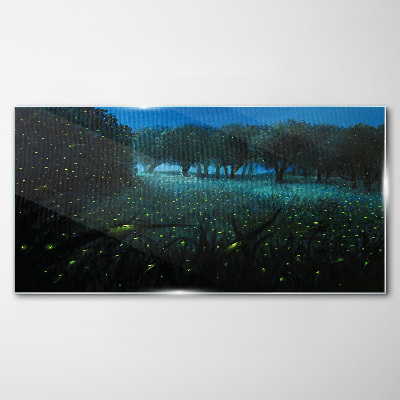 Glasbild Nachtlichter im Wald