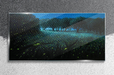 Glasbild Nachtlichter im Wald