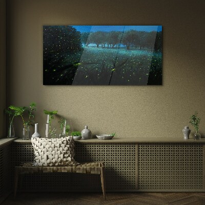 Glasbild Nachtlichter im Wald