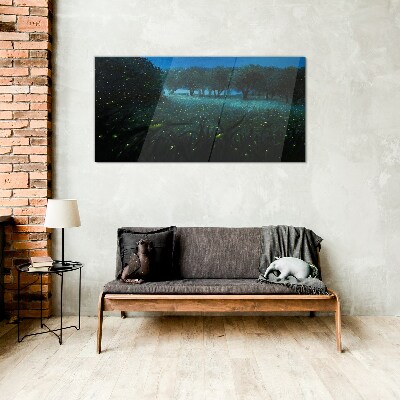 Glasbild Nachtlichter im Wald
