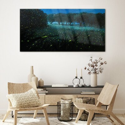 Glasbild Nachtlichter im Wald