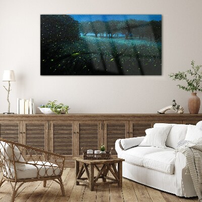 Glasbild Nachtlichter im Wald