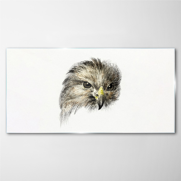 Glasbild Porträt eines Greifvogels
