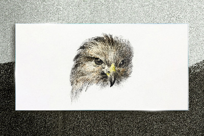 Glasbild Porträt eines Greifvogels