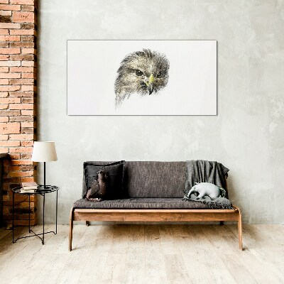 Glasbild Porträt eines Greifvogels