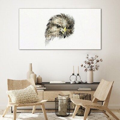 Glasbild Porträt eines Greifvogels