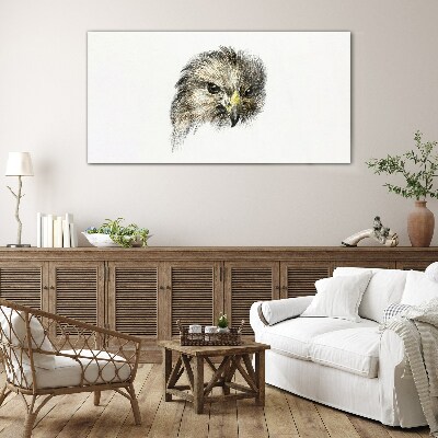 Glasbild Porträt eines Greifvogels