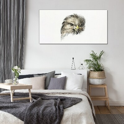 Glasbild Porträt eines Greifvogels
