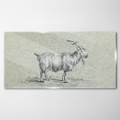 Glasbild Ziege auf grauem Papierhintergrund