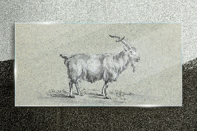 Glasbild Ziege auf grauem Papierhintergrund