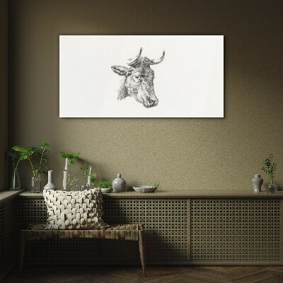 Glasbild Porträt einer Kuh auf weißem Hintergrund