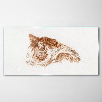 Foto auf glas Schläfriger Katzenmoment