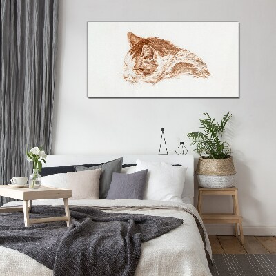 Foto auf glas Schläfriger Katzenmoment