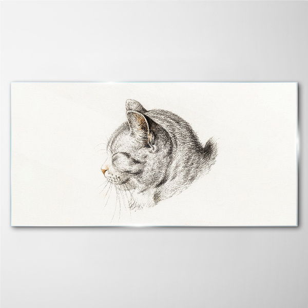 Glasbild Porträt einer grauen Katze auf weißem Hintergrund