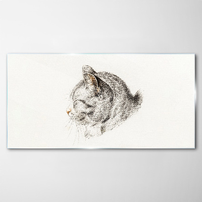 Glasbild Porträt einer grauen Katze auf weißem Hintergrund