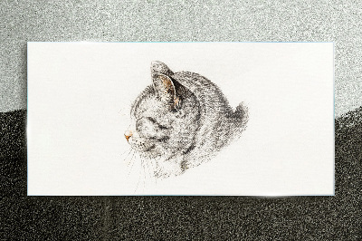 Glasbild Porträt einer grauen Katze auf weißem Hintergrund