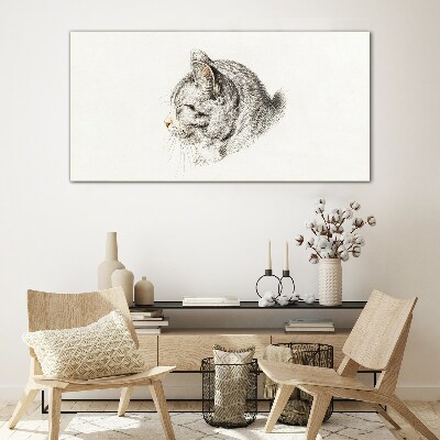 Glasbild Porträt einer grauen Katze auf weißem Hintergrund