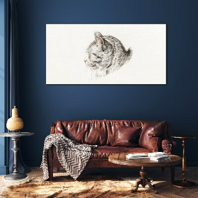 Glasbild Porträt einer grauen Katze auf weißem Hintergrund