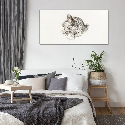 Glasbild Porträt einer grauen Katze auf weißem Hintergrund