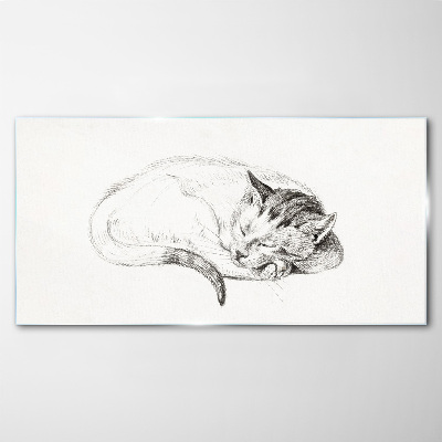 Glasbild Schlafende Katze