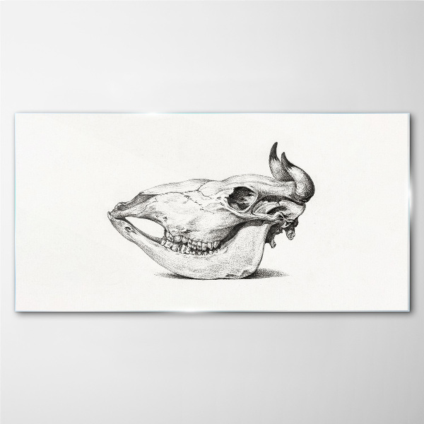 Glasbild Tierschädel
