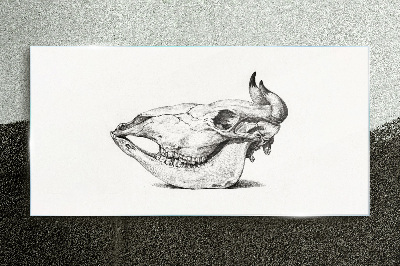 Glasbild Tierschädel