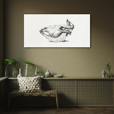 Glasbild Tierschädel