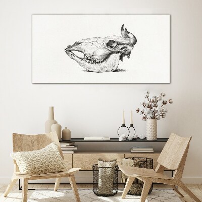 Glasbild Tierschädel