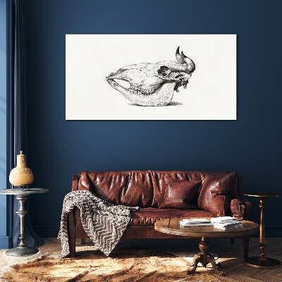 Glasbild Tierschädel