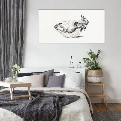 Glasbild Tierschädel