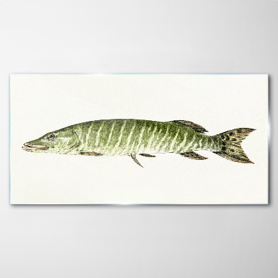 Glasbild Muskie in seinem natürlichen Lebensraum