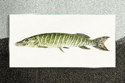 Glasbild Muskie in seinem natürlichen Lebensraum