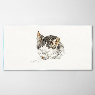 Glasbild Katzentraum