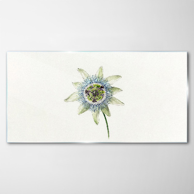 Bild auf glas Passionsblume auf weißem Hintergrund