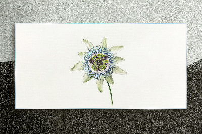 Bild auf glas Passionsblume auf weißem Hintergrund