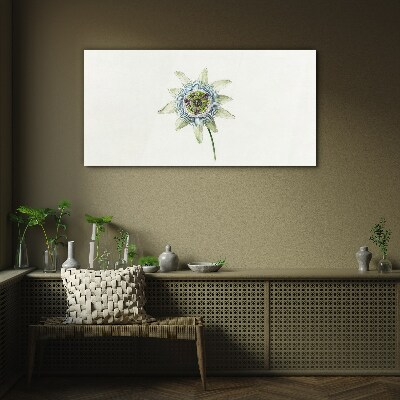 Bild auf glas Passionsblume auf weißem Hintergrund