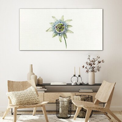Bild auf glas Passionsblume auf weißem Hintergrund