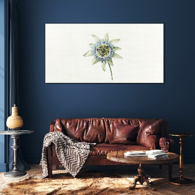 Bild auf glas Passionsblume auf weißem Hintergrund