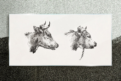 Glasbild Porträt von zwei Kühen