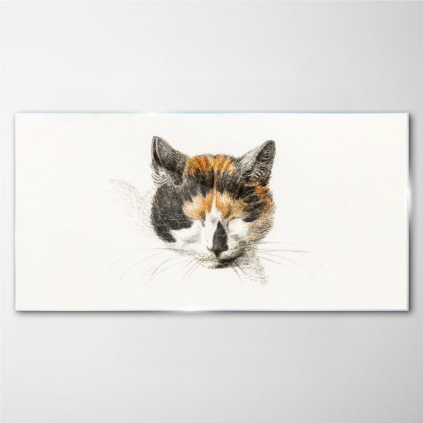 Glasbild Porträt einer Katze in Brauntönen