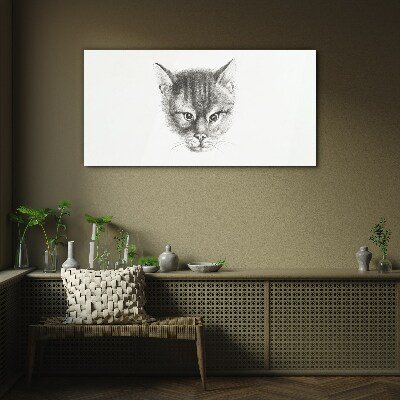 Glasbild Tierkatze zeichnen