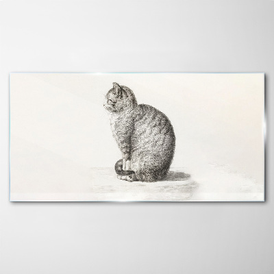 Foto auf glas Sitzende Katze