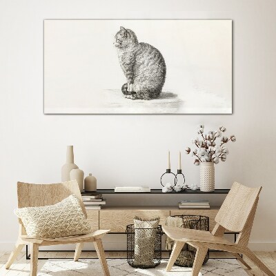 Foto auf glas Sitzende Katze