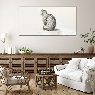 Foto auf glas Sitzende Katze