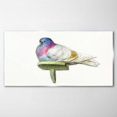 Glasbild Bunte Taube in Pastelltönen