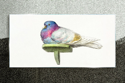 Glasbild Bunte Taube in Pastelltönen