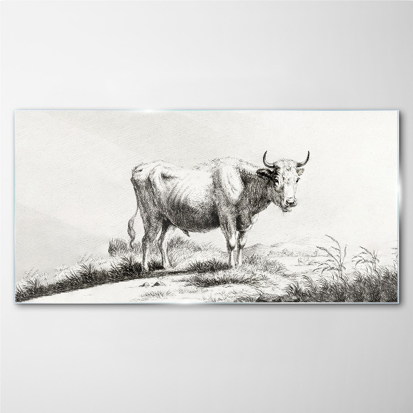 Glasbild Schwarze Kuh auf der Weide